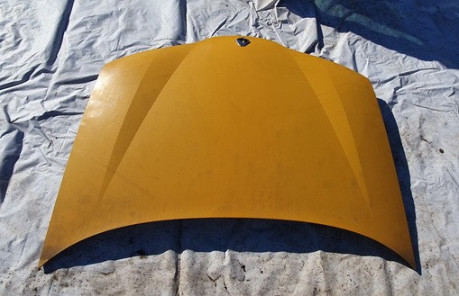 GELTONAS Renault Laguna 2002 capot