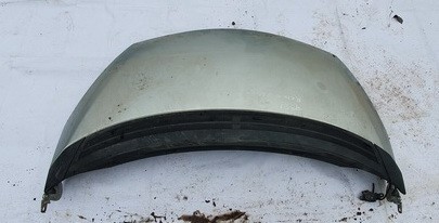 PILKAS Renault Espace 2003 Hood