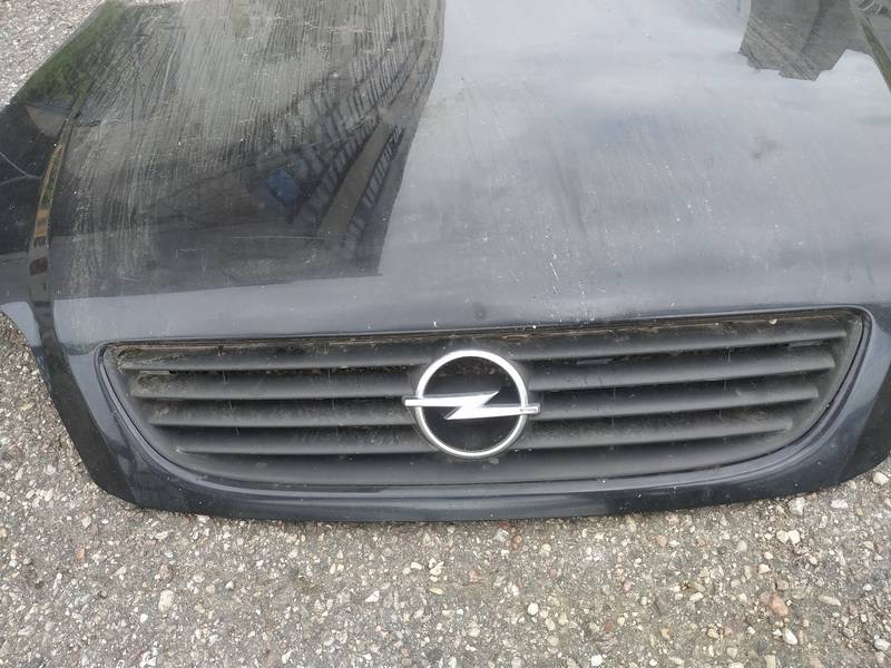 Opel Zafira 2002 Hood grille - FRONT