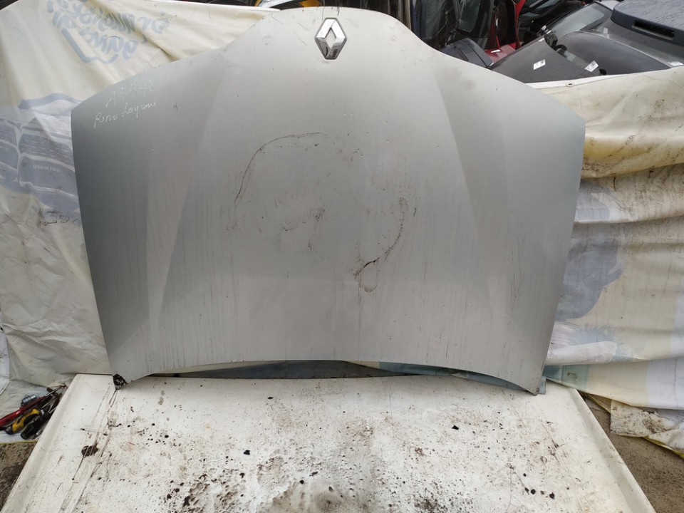 PILKAS Renault Laguna 2001 Maski (Pokrywy silnika)