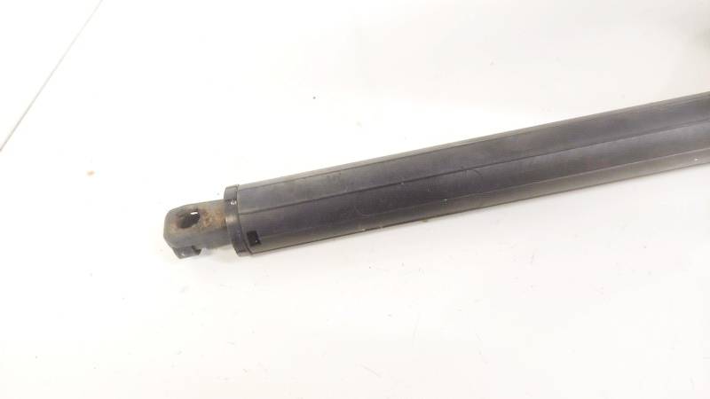 BMW X5 2008 Galinio Dangcio amortizatorius G. (kapoto) - Thumbnail 3