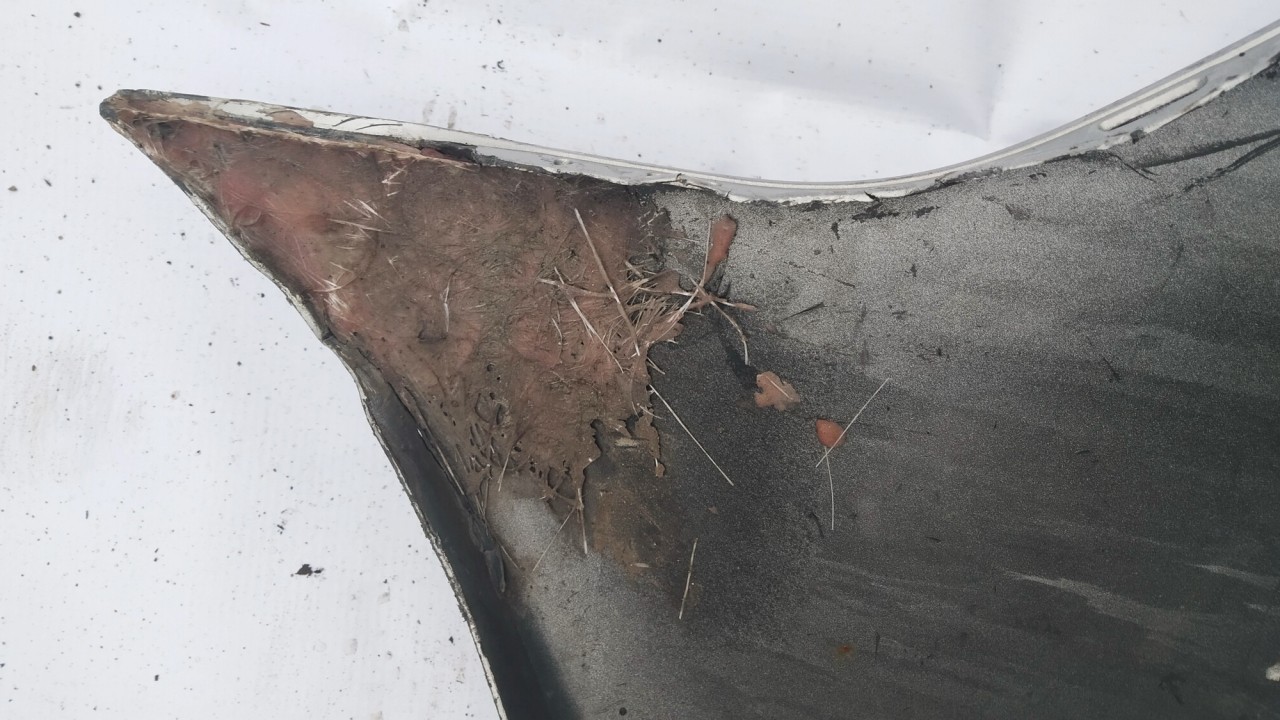 sidabrine used Front bumper Mazda 3 2006 1.6L 40EUR EIS00935006 Used