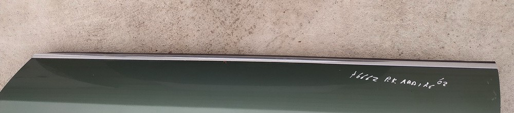 Audi A6 2002 Listón embellecedor de la ventana de la puerta delantera - DELANTERO IZQUIERDO