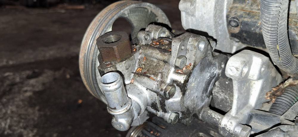 Citroen C8 2005 Servopumpe - Thumbnail 3