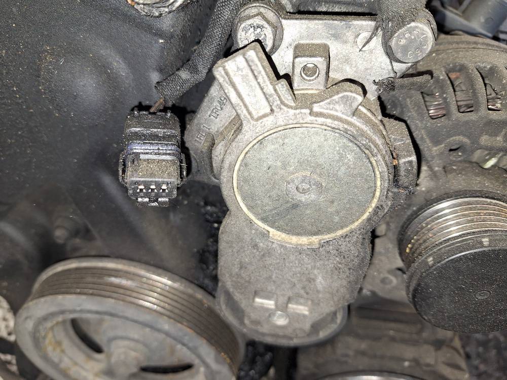 Citroen C4 Picasso 2009 Dirzo itempejas (Paskirstymo dirzo itempejas) - Thumbnail 2