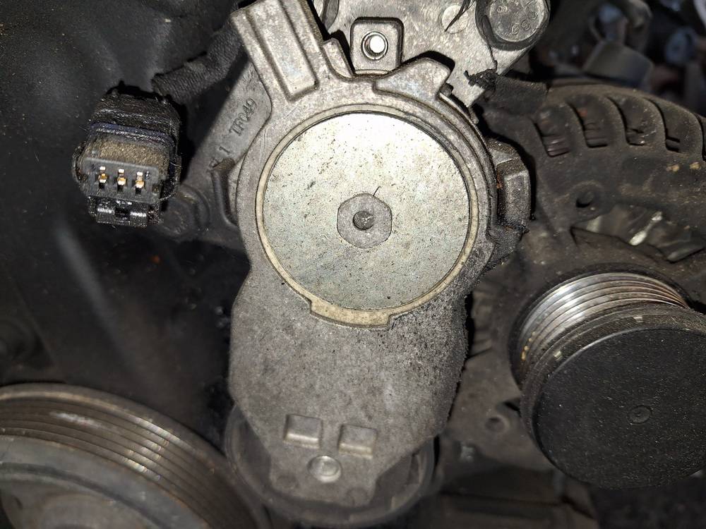 Citroen C4 Picasso 2009 Dirzo itempejas (Paskirstymo dirzo itempejas)