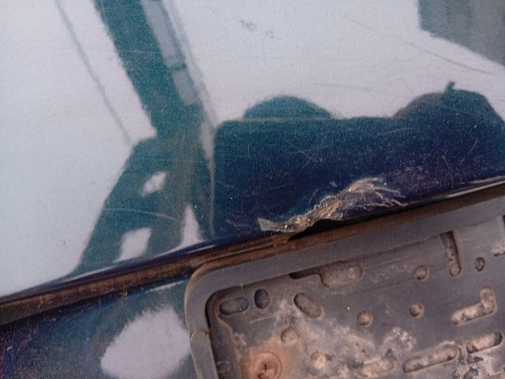 ZALIAS Renault Laguna 2003 Hood - REAR - Thumbnail 6