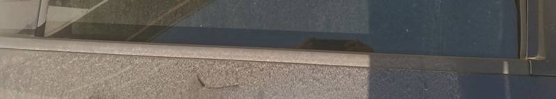 Ford S-Max 2006 Glass Trim Molding-weatherstripping - REAR LEFT