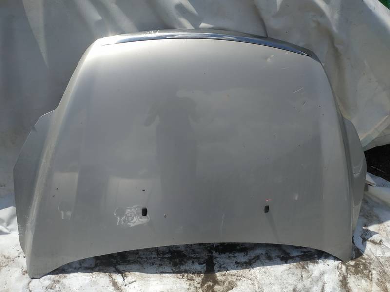 PILKAS Ford Focus 2010 Maski (Pokrywy silnika)