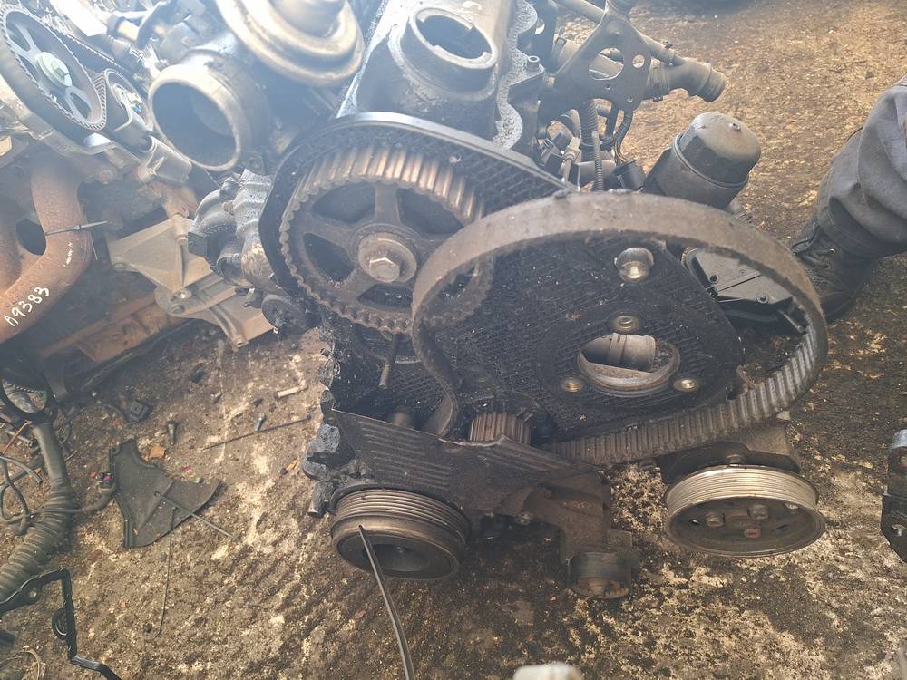 Seat Leon 2000 Variklis