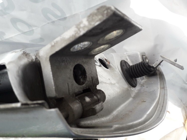 Citroen C3 Pluriel 2003 Door Hinge - FRONT