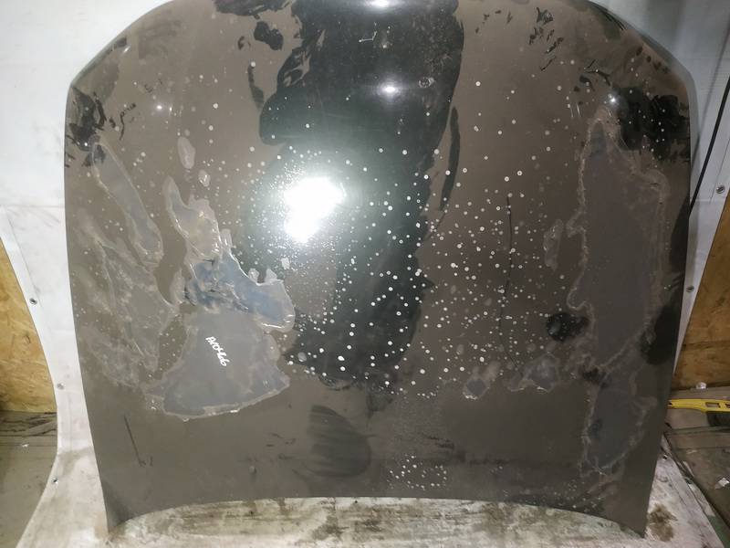 ZALIAS Mitsubishi Galant 1999 Hood