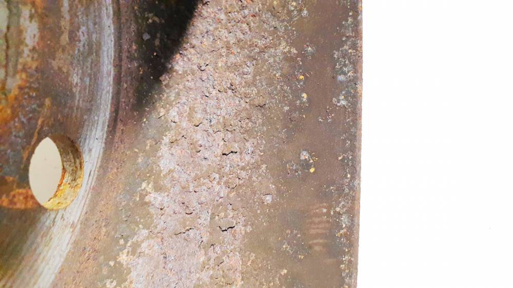 VENTILIUOJAMAS BMW 5-Series 2011 Bremsscheibe hinten - Thumbnail 4