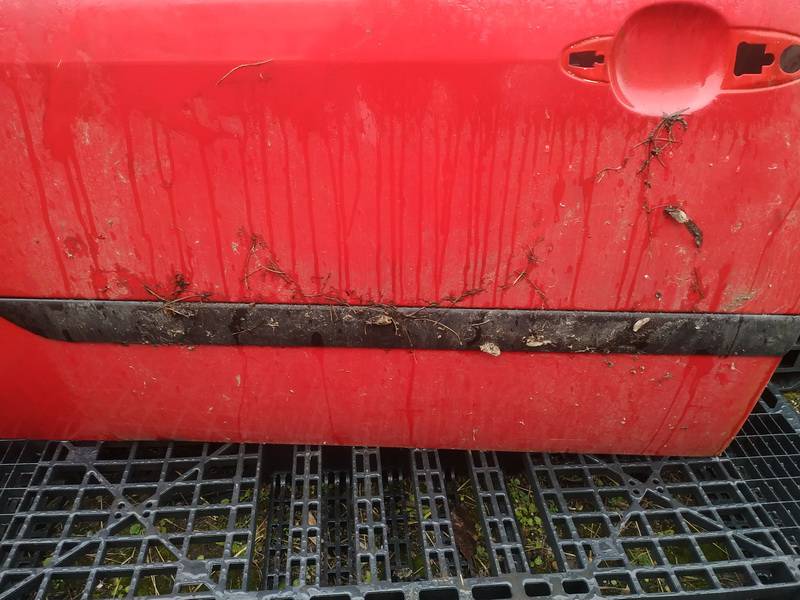 Ford Focus 2000 Molding door - FRONT LEFT