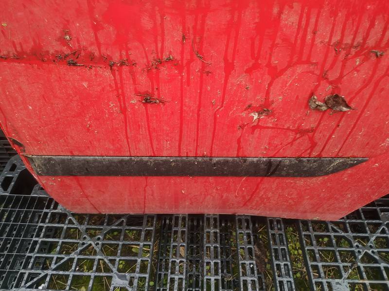 Ford Focus 2000 Molding door - REAR LEFT