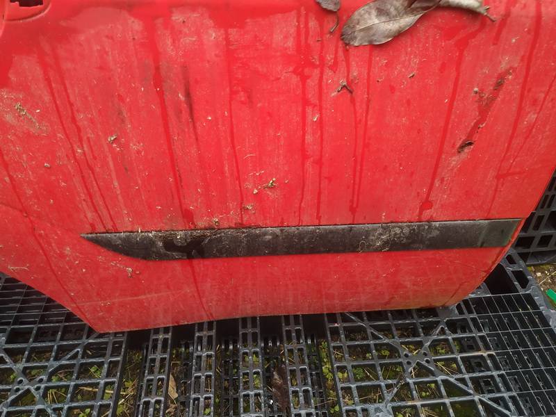 Ford Focus 2000 Molding door - REAR RIGHT side