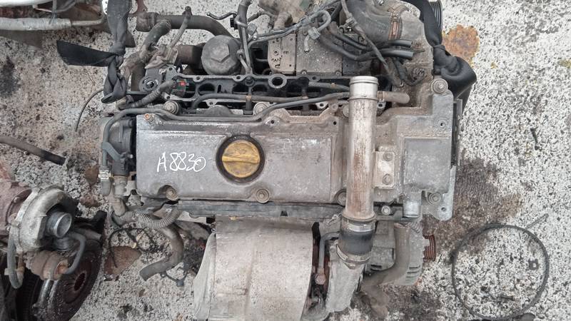 Y22DTR Opel Signum 2003 Engine - Thumbnail 5