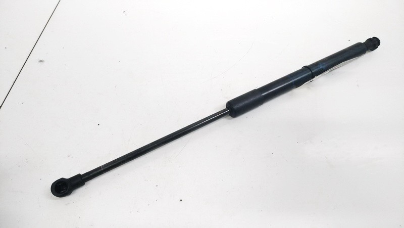 51237060550 BMW 3-Series 2006 Hood Support (strut hood) - FRONT