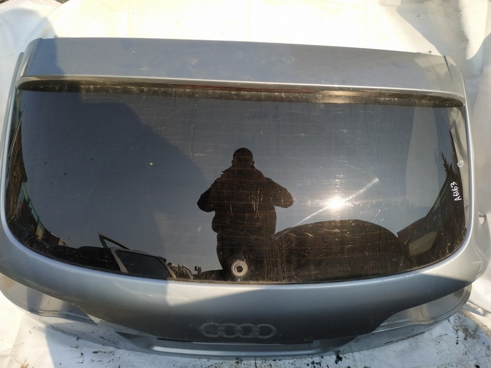 PILKAS Audi Q7 2007 Hood - REAR