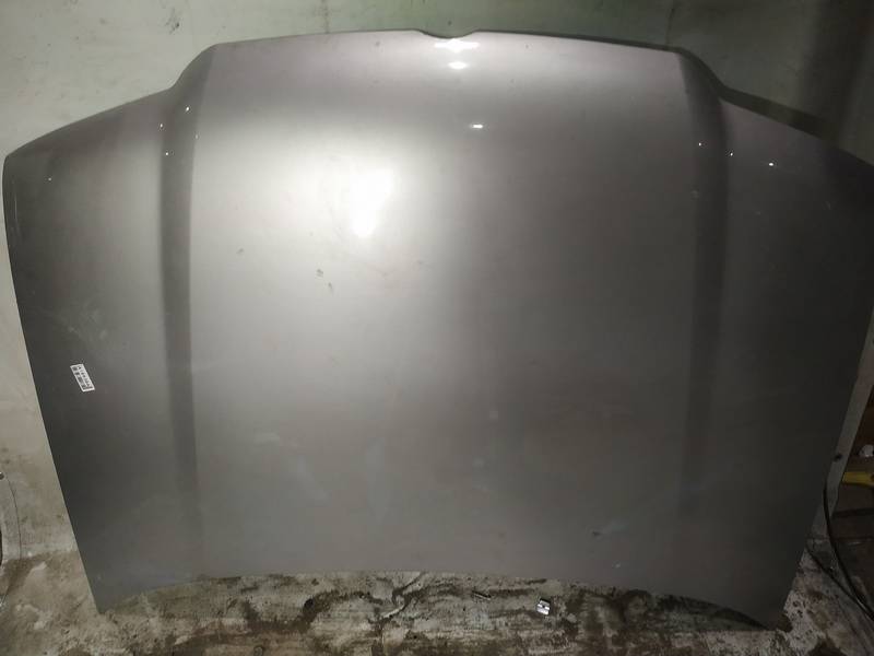 PILKAS Volkswagen Bora 2003 Hood