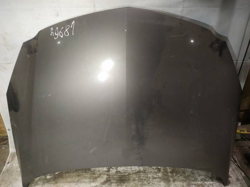 PILKAS Opel Insignia 2017 Hood