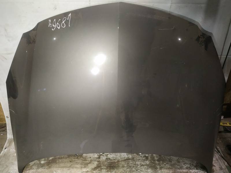 PILKAS Opel Insignia 2017 Hood - Thumbnail 2