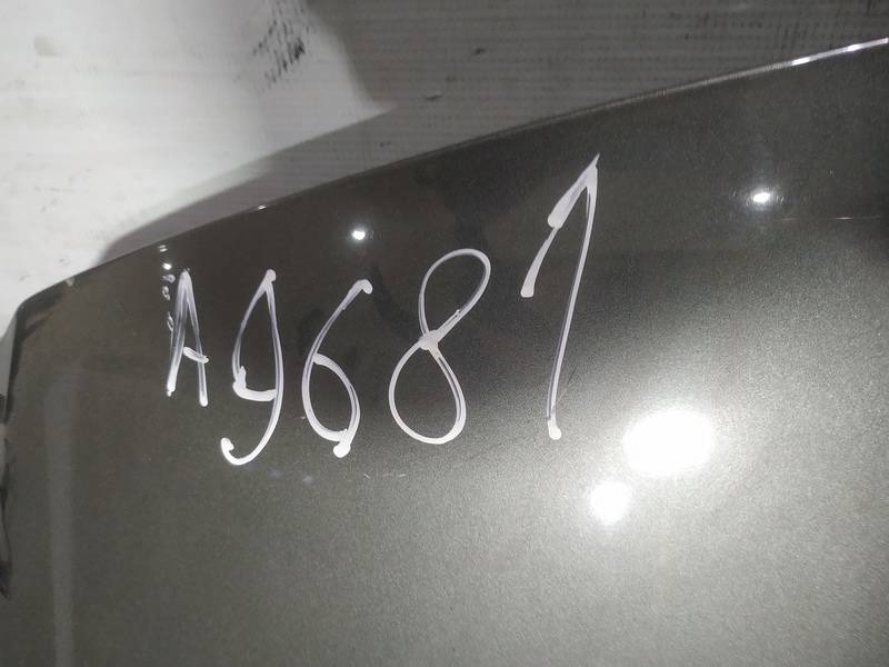 PILKAS Opel Insignia 2017 Hood - Thumbnail 3