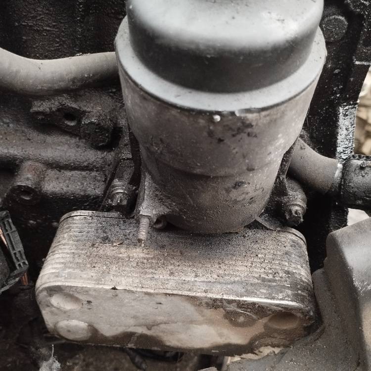 Opel Vectra 2003 Öljynsuodattimen runko