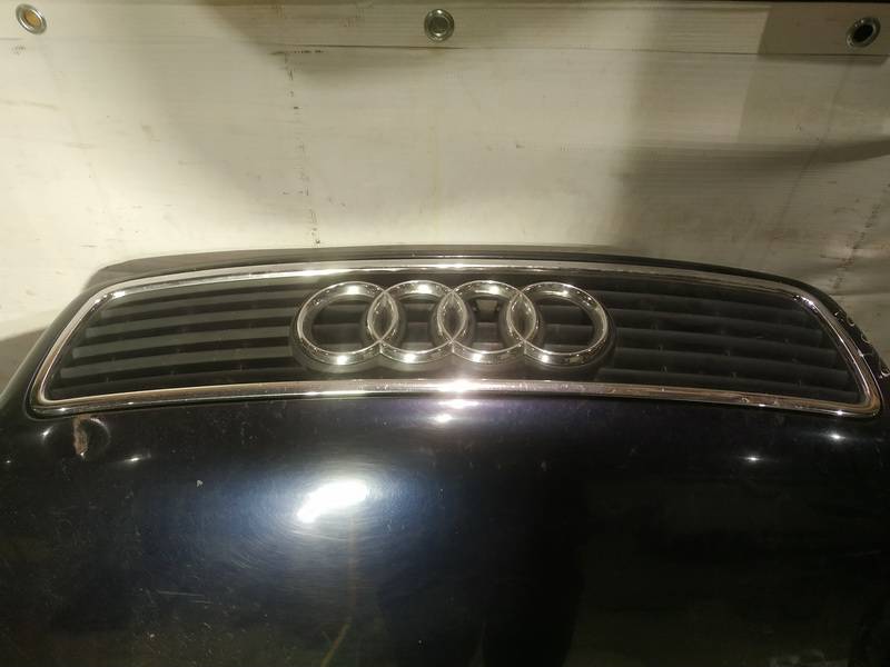 Audi A4 1997 Przednia kratka - PRZEDNIE - Thumbnail 2