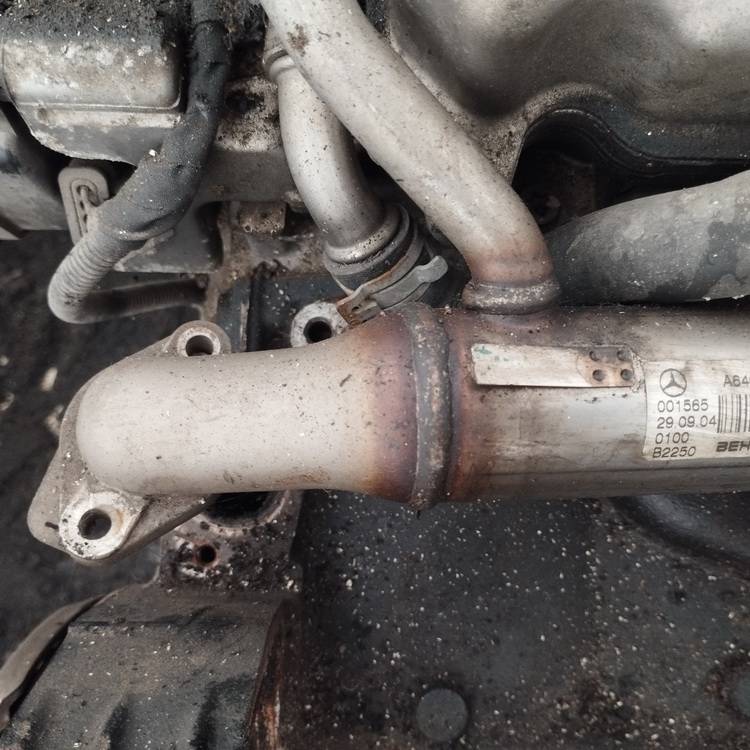 A6401400575 Mercedes-Benz A-CLASS 2004 AGR Kühler (Abgaskühler) - Thumbnail 2