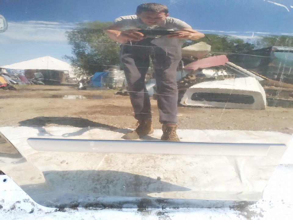 Ford Focus 2006 Duru moldingas isorinis G.D.