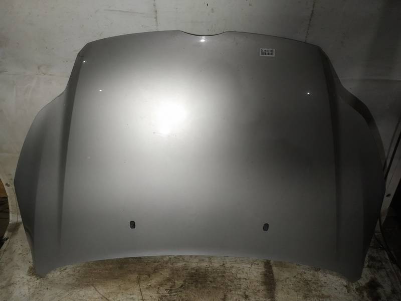 PILKAS Ford Focus 2011 Hood
