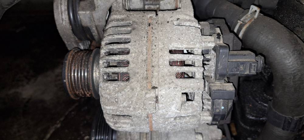 045903023 Skoda Roomster 2008 Generatorius