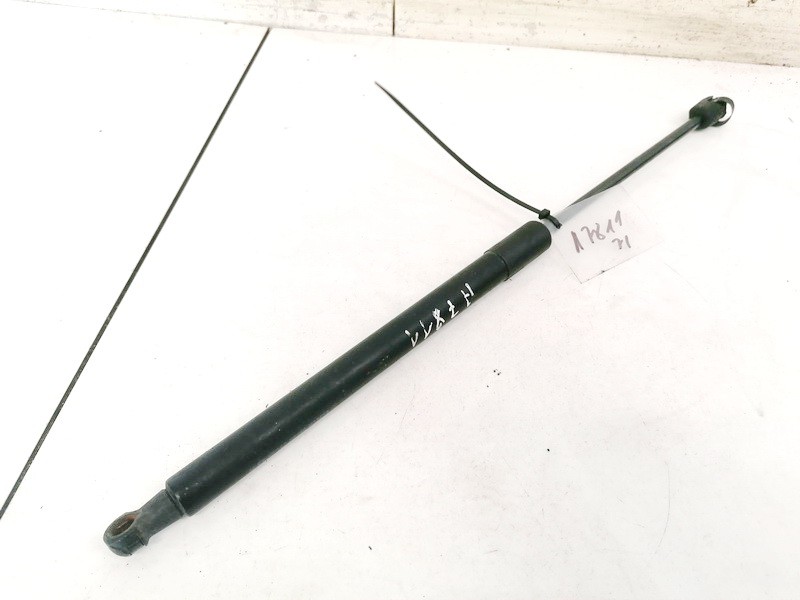 3C9827550 Volkswagen Passat 2005 Trunk Luggage Shock Lift Cylinder, Gas Pressure Spring - REAR
