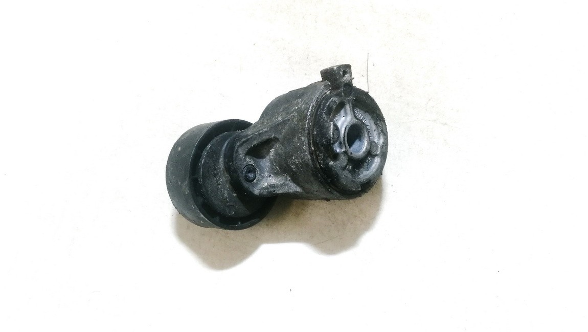 TF077H Citroen C5 2009 Napinacz paska (napinacz paska rozrządu)