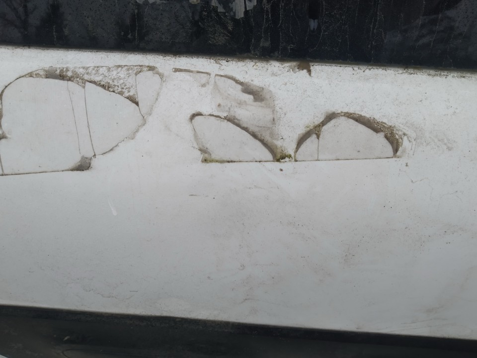 BALTA Citroen C4 Cactus 2016 Двери - задний правый - Thumbnail 2