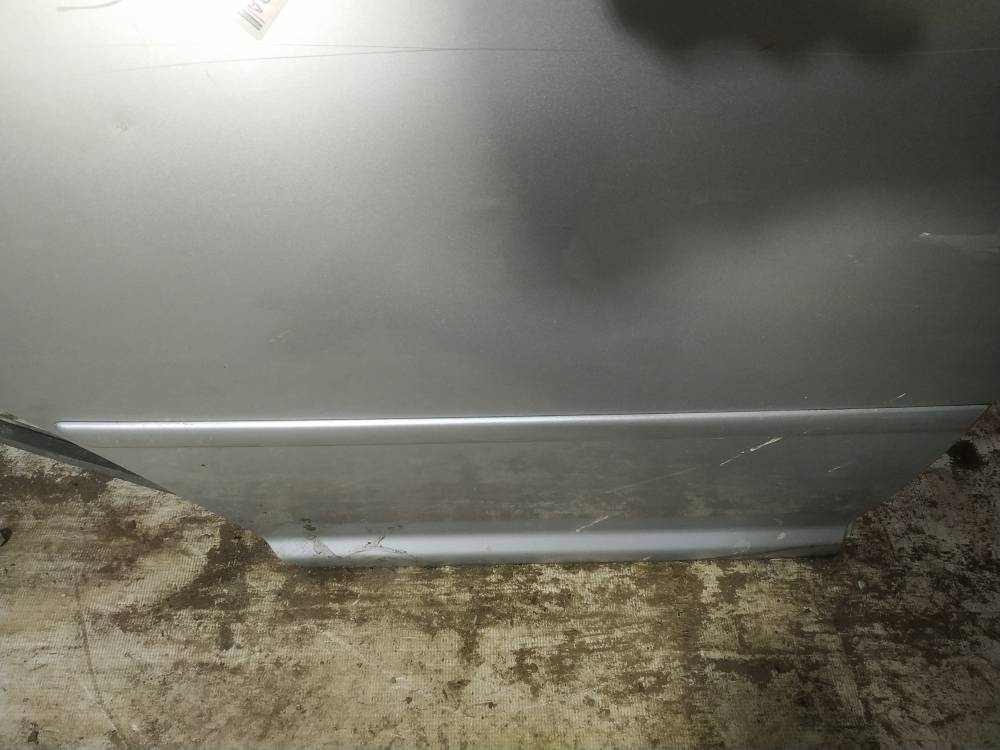 Volkswagen Bora 2003 Molding door - REAR RIGHT side
