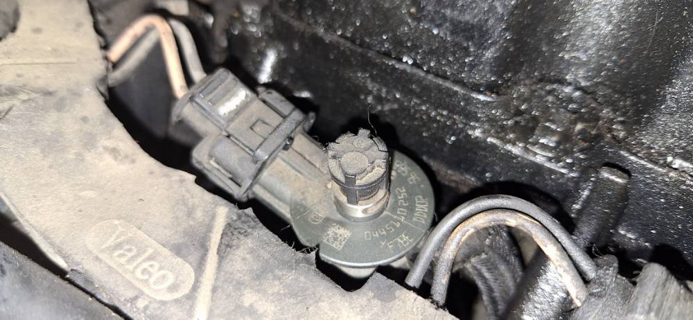 0445110252 Peugeot 207 2008 Fuel Injector