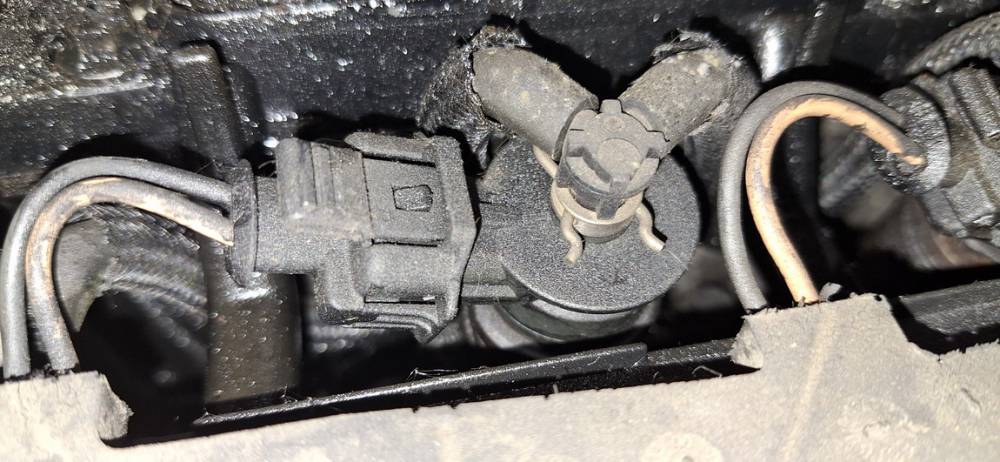 0445110252 Peugeot 207 2008 Fuel Injector