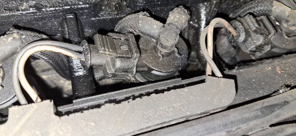 0445110252 Peugeot 207 2008 Fuel Injector