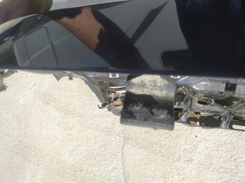 Ford Galaxy 2003 Galinio Dangcio vyris G.D. (kapoto)