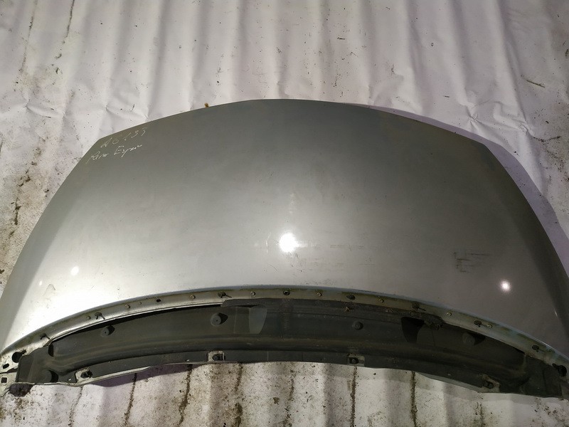 PILKAS Renault Espace 2004 Motorhaube Bonnet