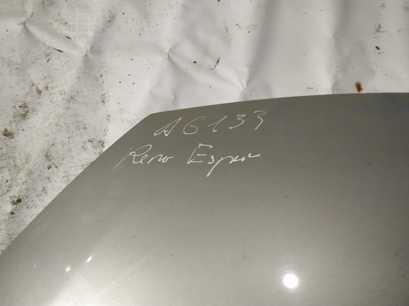 PILKAS Renault Espace 2004 Capós - Thumbnail 3