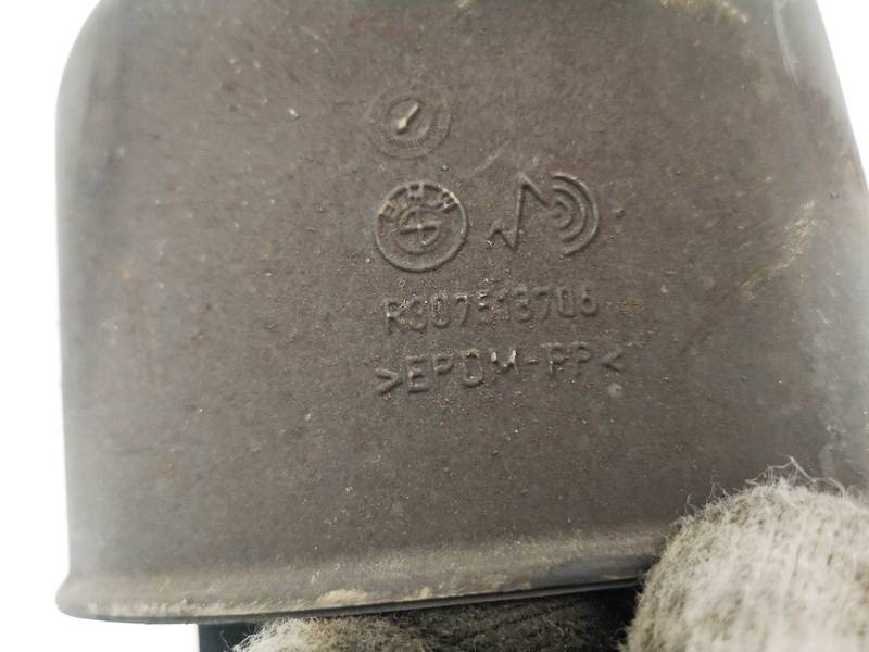 R307513706 BMW 5-Series 2011 Amortiguador neumático - Thumbnail 3