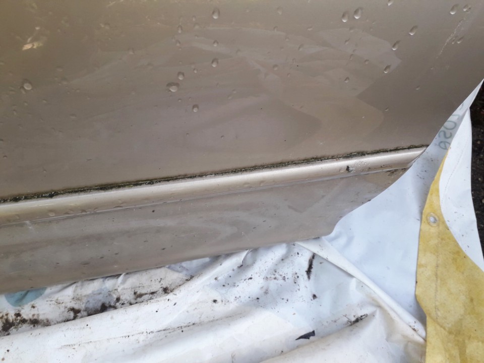 Jaguar X-Type 2004 Duru moldingas isorinis P.D. - Thumbnail 3