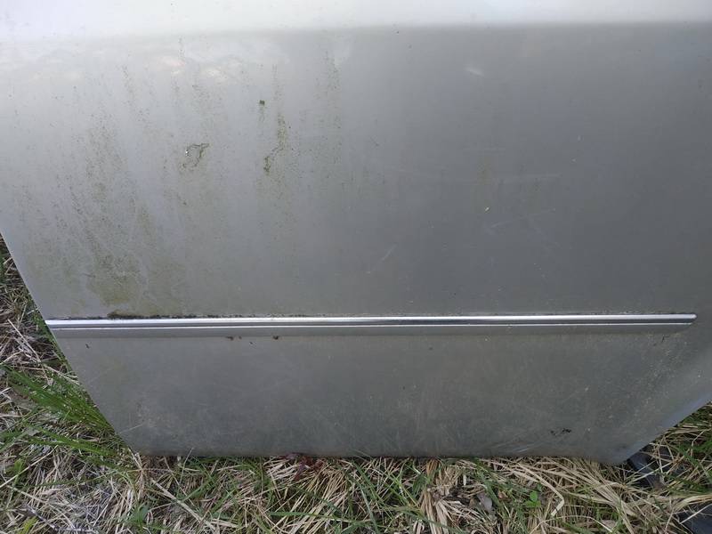 Chrysler 300C 2006 Molding door - REAR LEFT