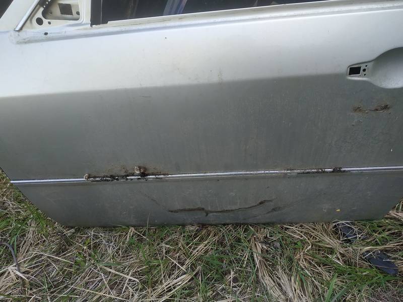 Chrysler 300C 2006 Molding door - FRONT LEFT