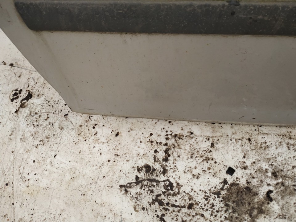 PILKOS Ford Focus 2005 Durys P.K. - Thumbnail 3