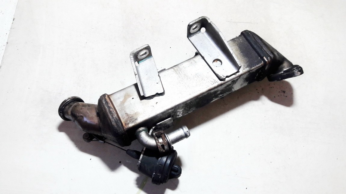 8200620695 Nissan X-Trail 2007 EGR Cooler (exhaust gas cooler)