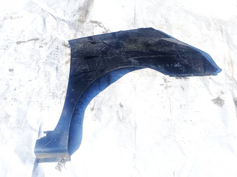 Renault Espace 2003 Radlauf Kotflügel Vorne rechts